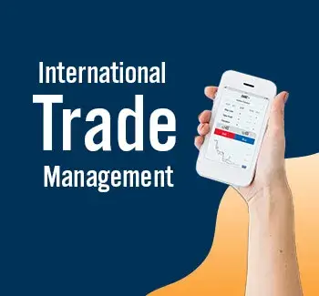 diploma international trade management