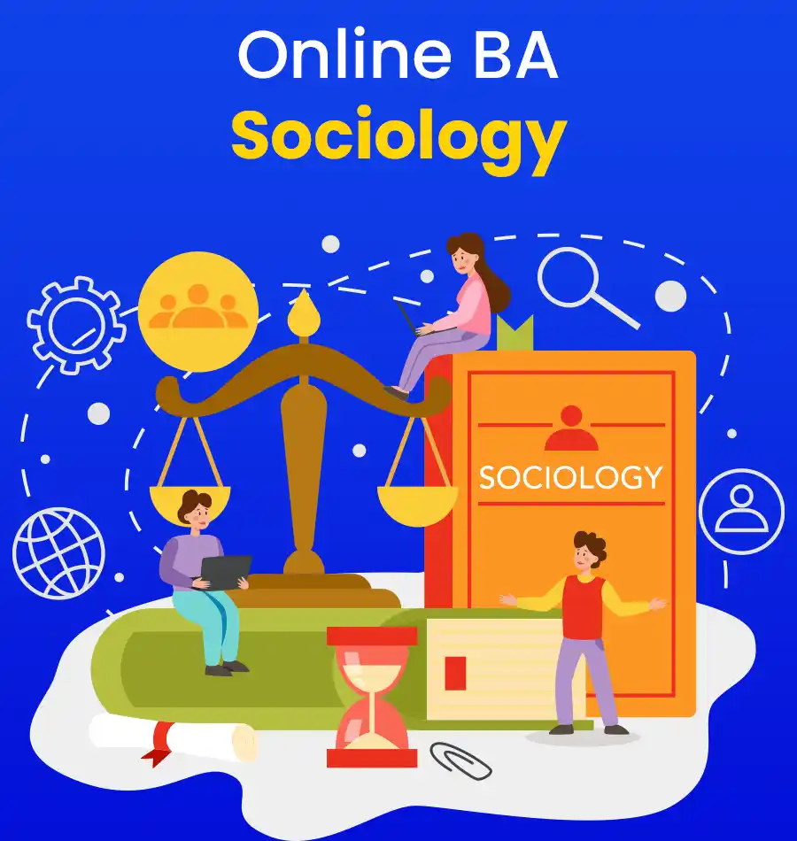 online ba sociology