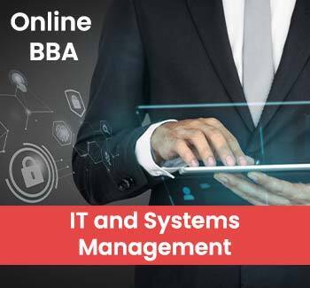 online bba it system