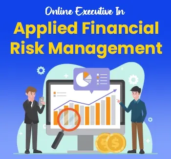 online executive in applied financial risk management