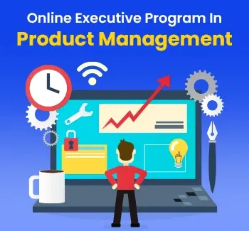 online executive program in product management