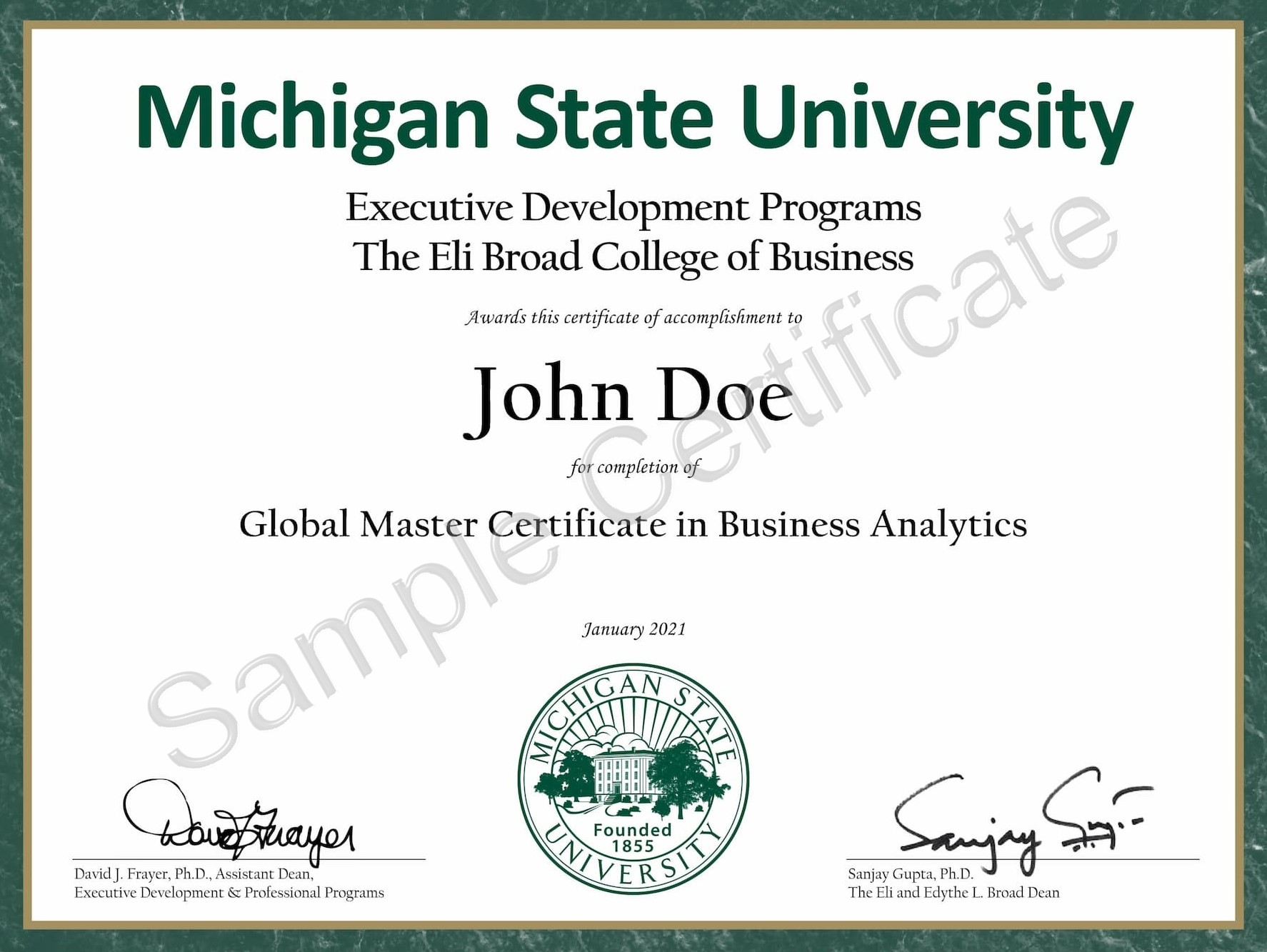 Michigan State University (Courses Online, Admission 2024)