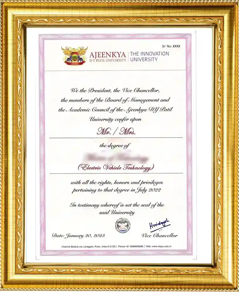 ajeenkya dy patil certificate sample