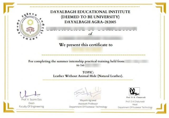 dayalbagh educational institute online
