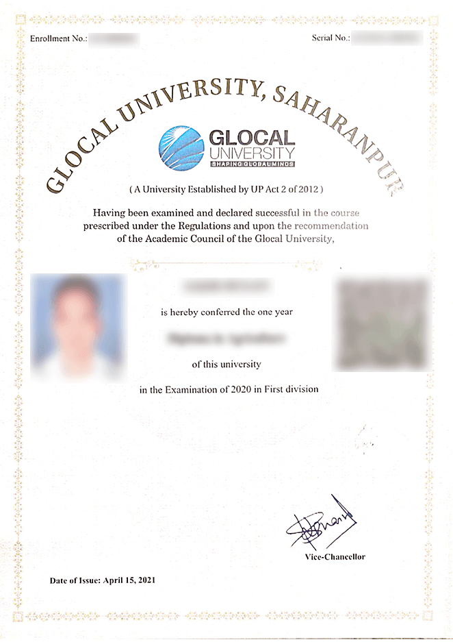 glocal engineering cirtificate sample