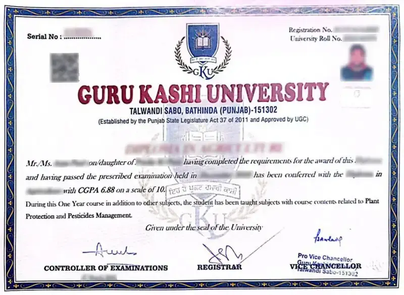 guru kashi university online sample certificate