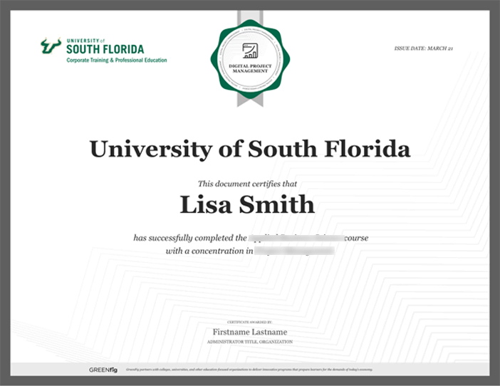 university of south florida