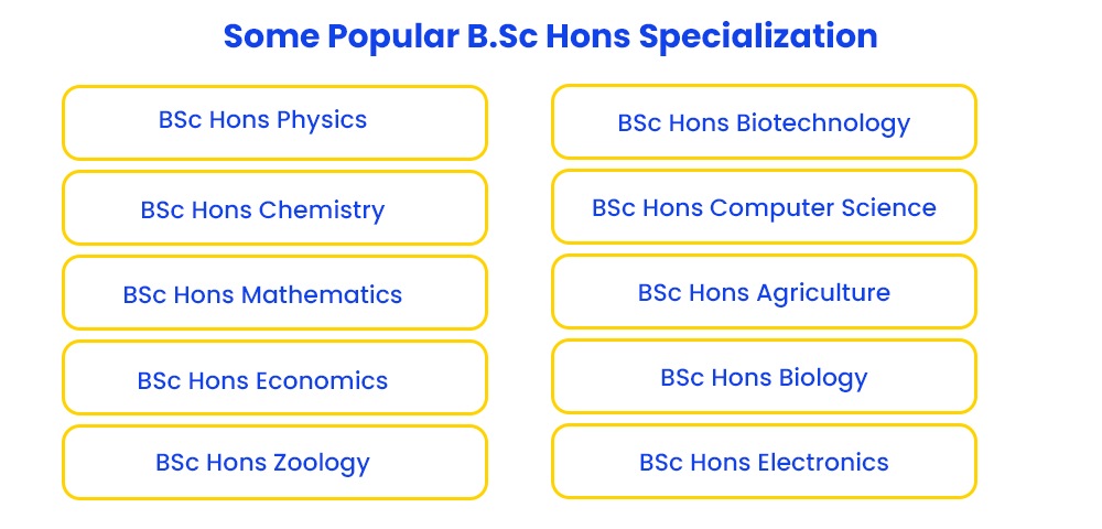 Online BSc Honours: Fee, Colleges, Syllabus, Admission 2023