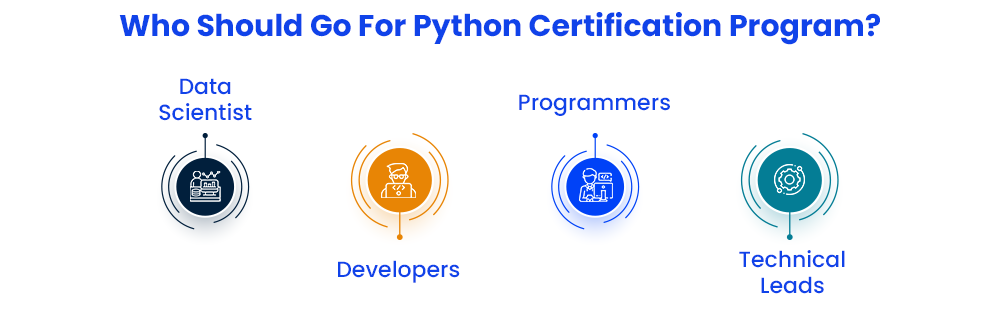 Skills Learned During Online Certificate Course in Python