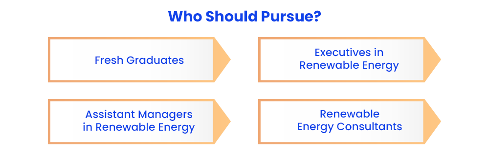 Who should pursue Online PGP in Renewable Energy Management