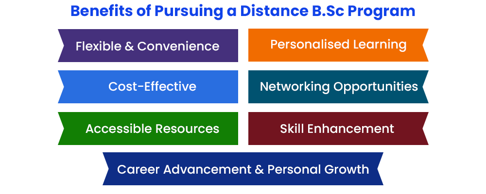 Benefits of Pursuing a Distance B.Sc Program
