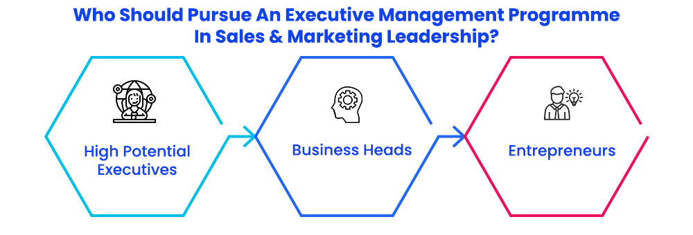 Who should pursue an executive management programme in sales and marketing leadership.
