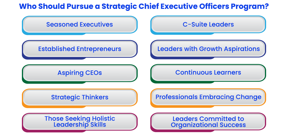 who should pursue a strategic chief executive officers program