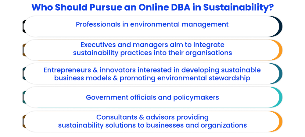 Who Should Pursue an Online DBA in Sustainability?