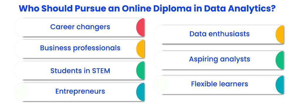 Who Should Pursue an Online Diploma in Data Analytics? 