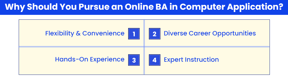 Why Should You Pursue an Online BA in Computer Application? 