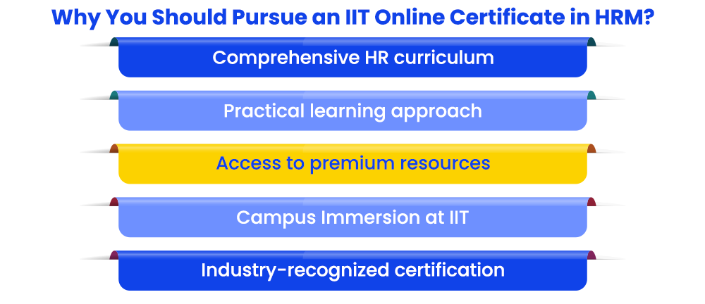 Why You Should Pursue an IIT Online Certificate in HRM?