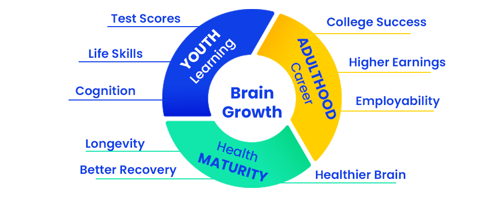 brain-growth-youth-learning