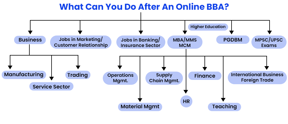 what can you do after an online BBA