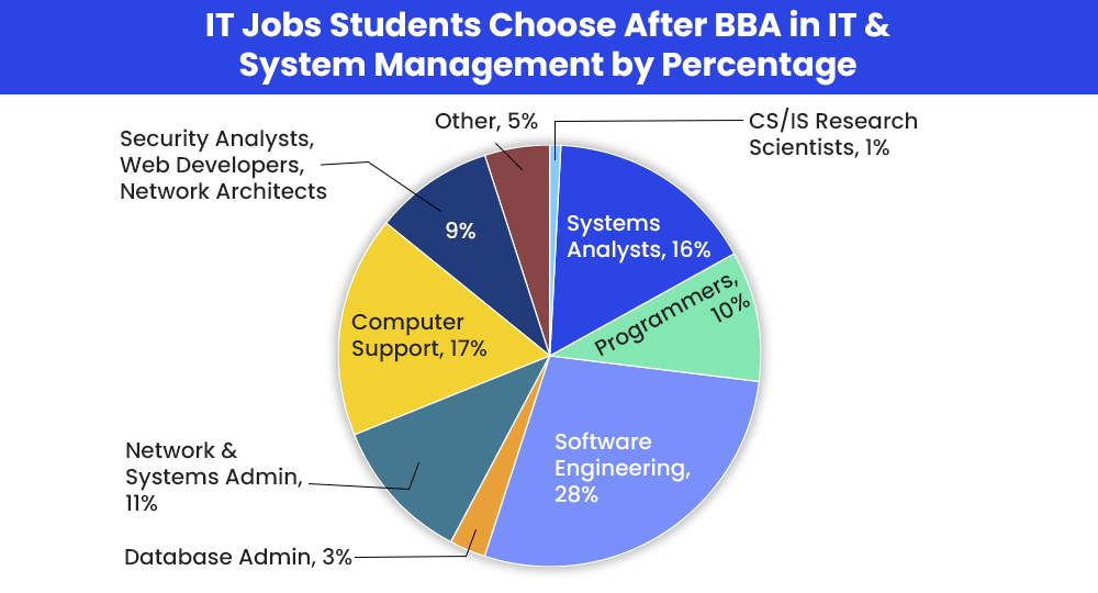 IT Jobs Students Choose After BBA in IT and System Management by Percentage