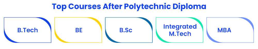 top-courses-after-polytechnic-diploma