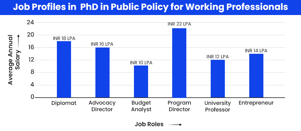 Job Profiles in PhD in Public Policy for Working Professionals