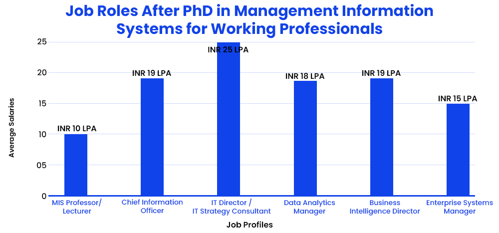 Job Roles After PhD in Management Information Systems for Working Professionals