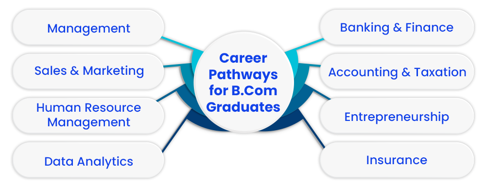 career-pathways-for-bcom-graduates