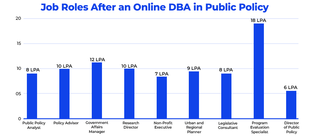Job Roles After an Online DBA in Public Policy