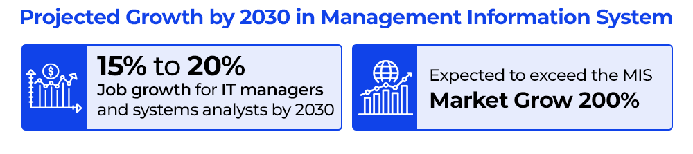 Projected Growth by 2030 in Management Information Systems